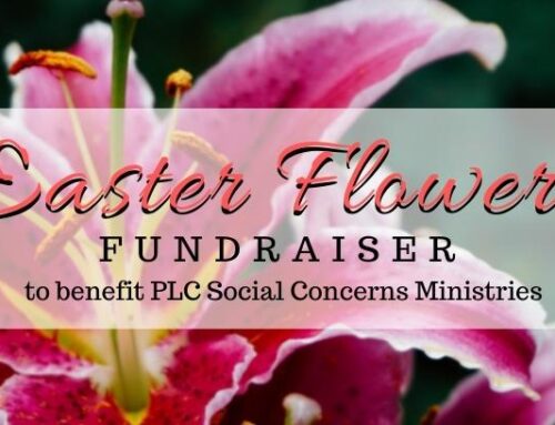 Easter Lilies and Flowers – 2024
