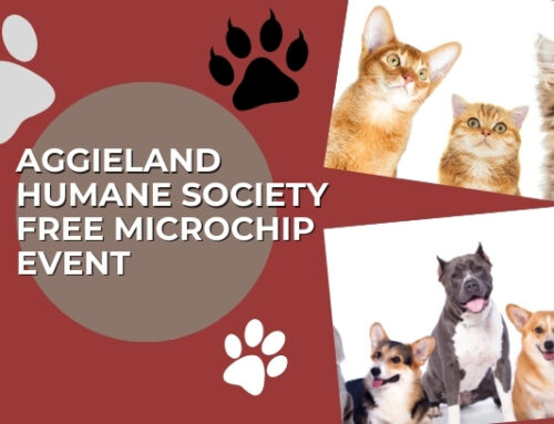 Aggieland Humane Society – Free Microchip Event