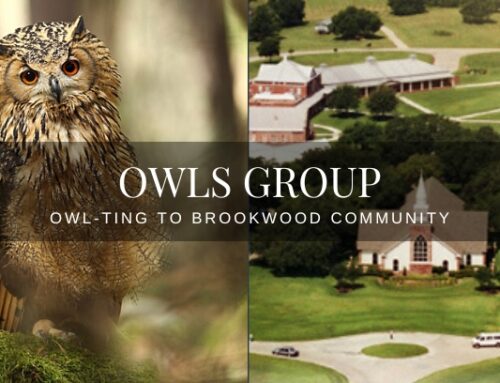 Owl-ting to Brookwood Community